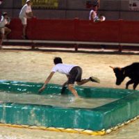 taureaux-piscine