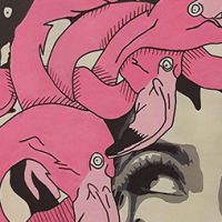 Medusa Flamingo - détail