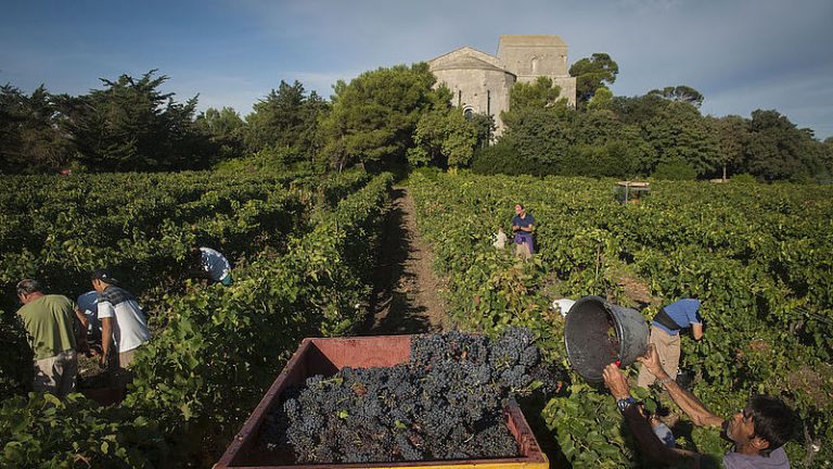 Feria Des Vendanges Villeneuve Les Maguelone 2022