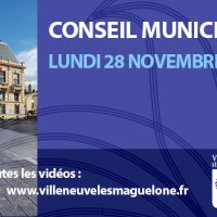 Conseil municipal du 28 novembre 2022