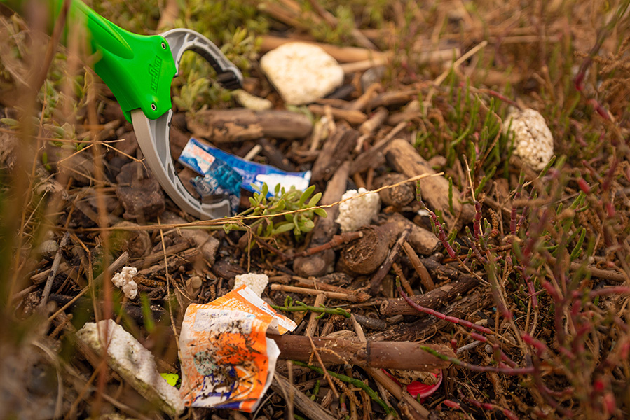 Label "Action portée par les citoyens" : nettoyage de la nature