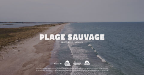 Plage sauvage Protéger et partager